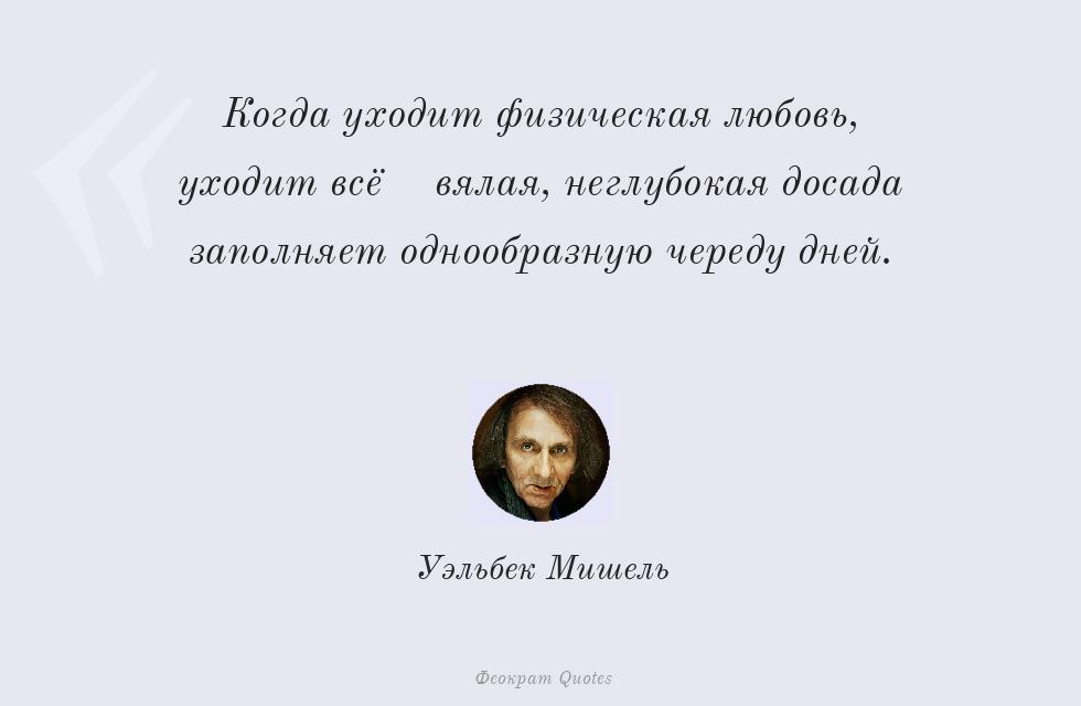 Цитата картинкой: Когда уходит физическая любовь, уходит... – Уэльбек Мишель